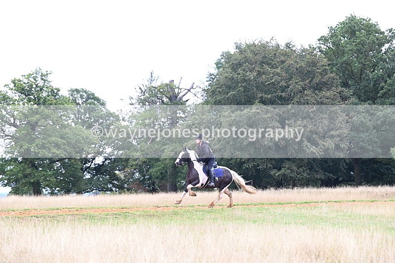 DSC_9524 - Time at Statue 15:11 to 15:58