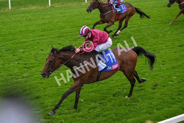 210824-Race 5-Extensio-5423 - Race 5 4.10pm Sky Bet Stayers Handicap