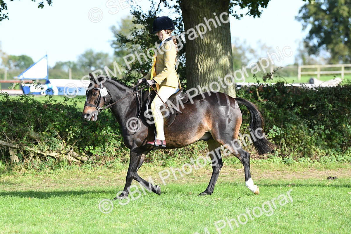SBM_52093 - S21 - Novice & Newcomers 1st Ridden Pony