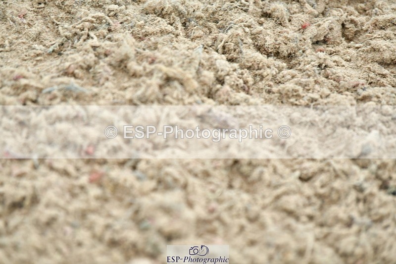 230721A-130151-06421 - Cls 14, 1 Star Bronze 1.10m