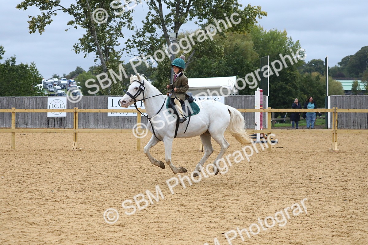 SBM_71982 - J3b - Mini Tour Junior Pony 40cm Championship