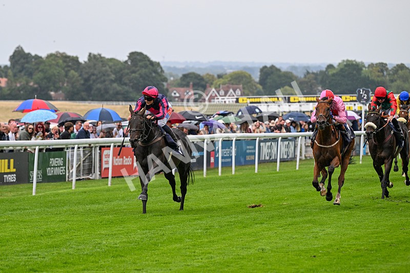 290826-Race 2-Valley Of Flowers-5943 - Race 2 2.20pm Napoleons Casino And Restaurant Hull Handicap