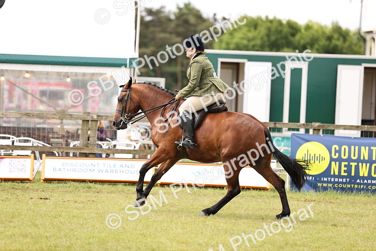 SBM_14598 - Class 88-89 - LIHS BSHA Rising Star of Ridden Hunter Type