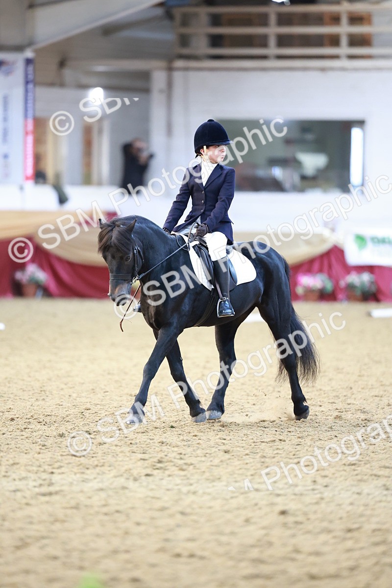 SBM_09211 - Class 61 - Dressage to Music