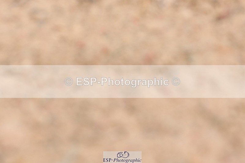 240706A-120429-01632 - Cls 2D Snr Prelim 18 12.14 to End