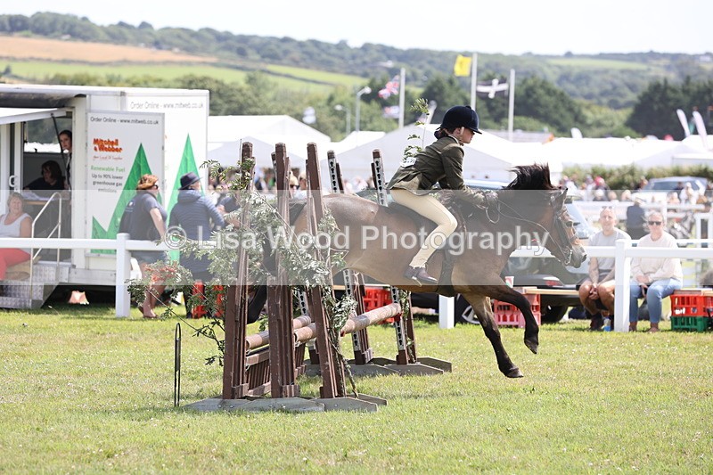 JPP_2035 - Class 19: Working Hunter 60cm