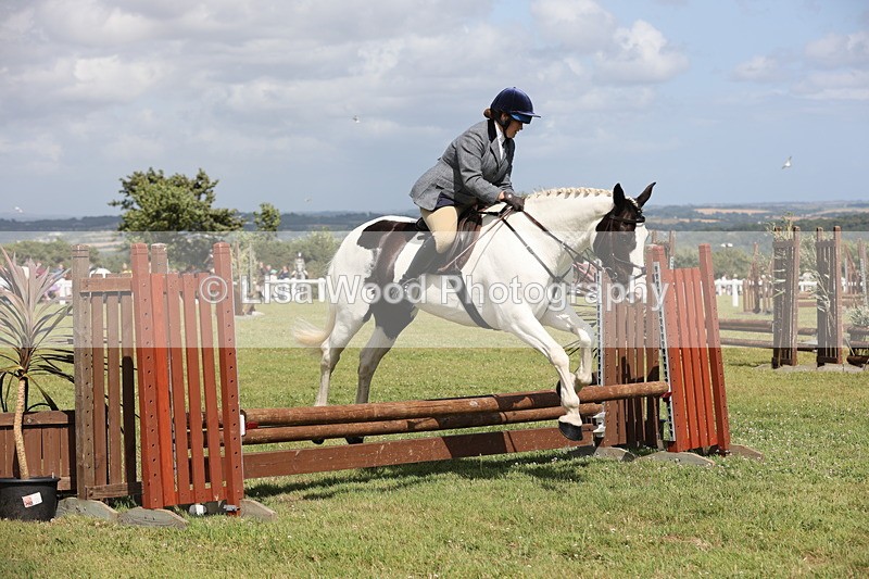 JPP_2190 - Class 19: Working Hunter 60cm