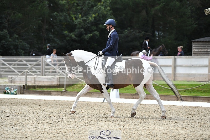 230812-123238-04144 - Cls 6 Novice Silver 12.10 to End