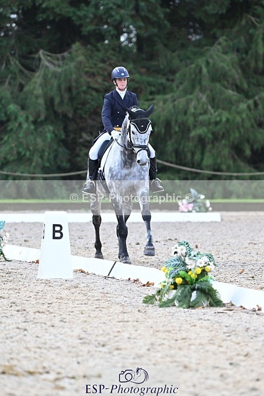 231019-095104-01236 - 028-BOLEYBAWN.COOLEY.LADY-Claire.Fielding-DR