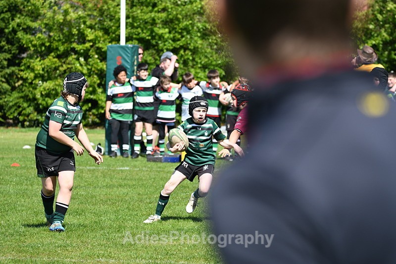  - Selby Rugby Festival 2025