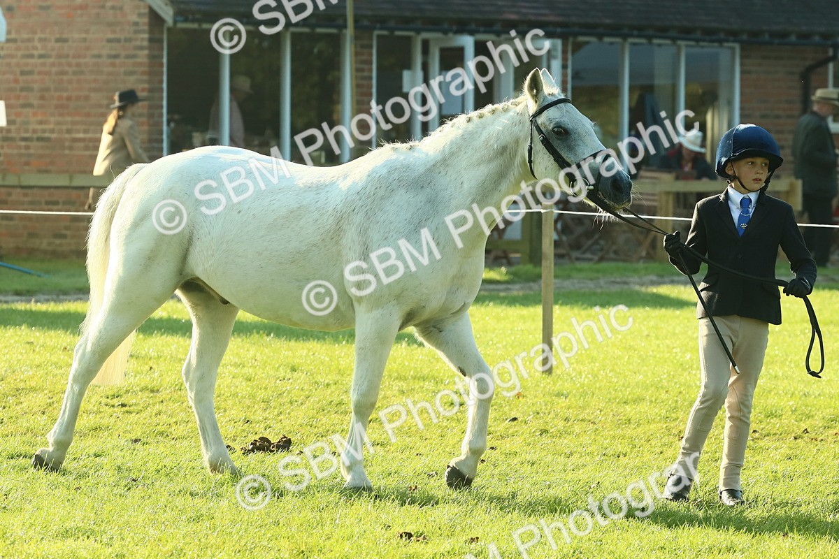 SBM_57364 - S37 - Starters In Hand Showing