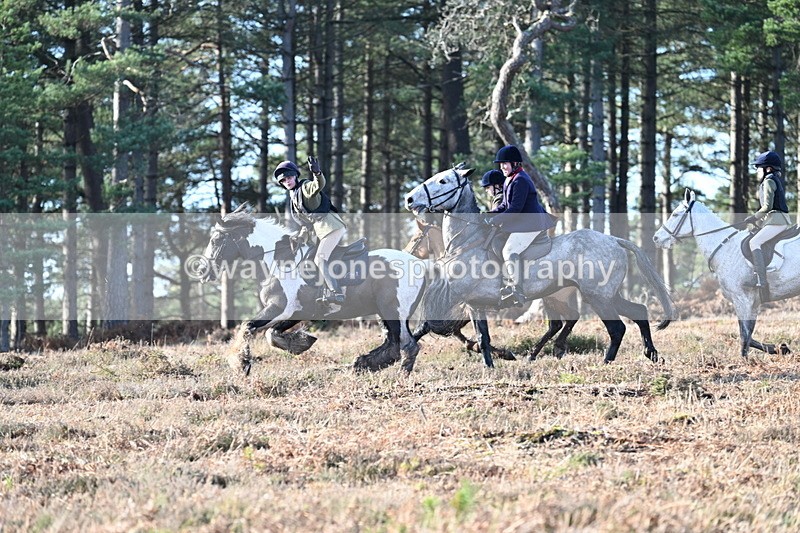 WJ7_7073 - Line 3 (no line 4 or 5)