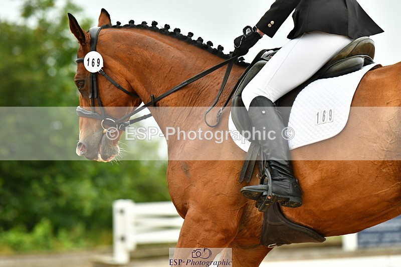 230708A-095204-02254 - Prelim 13