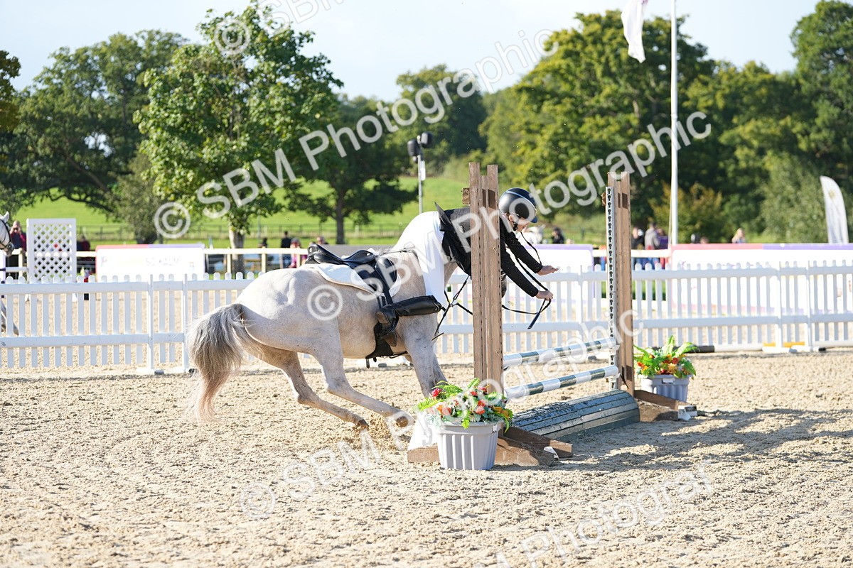 SBM_14335 - J57 - Clear Round 60cm