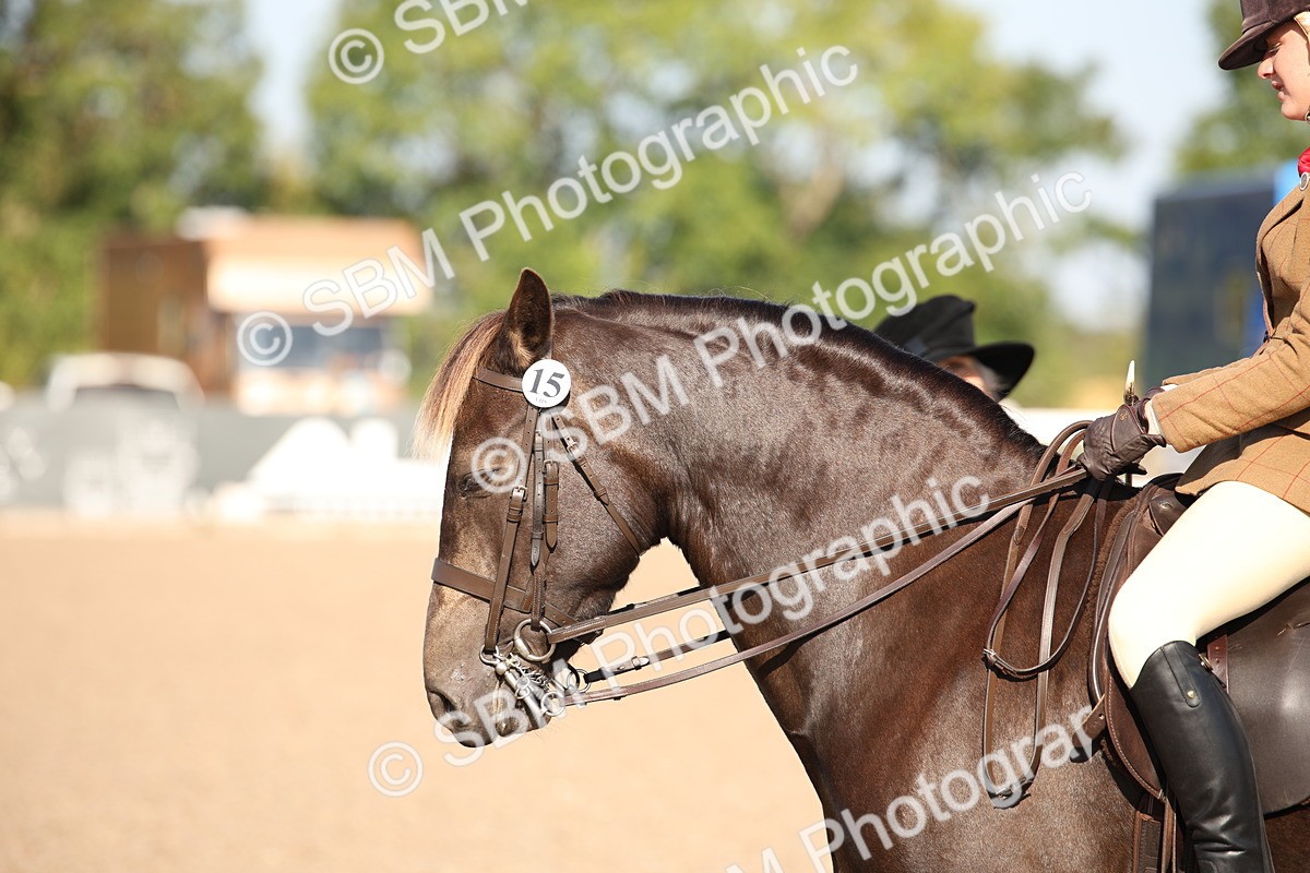 SBM_00731 - Class 14 Ridden M&M Wildcard