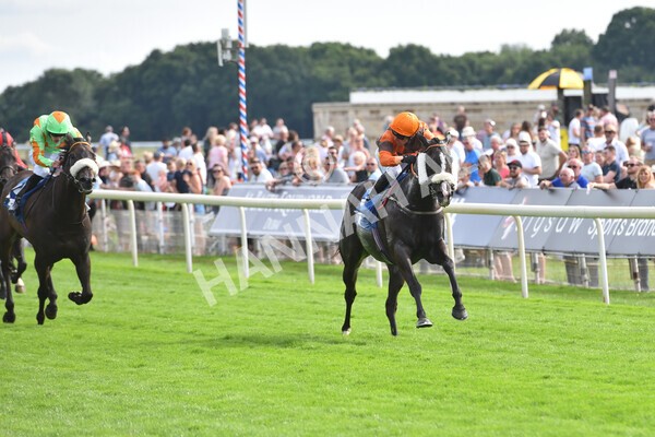 yr08072022r6-16 - Race 6 5.00pm Irish Thoroughbred Marketing Stakes