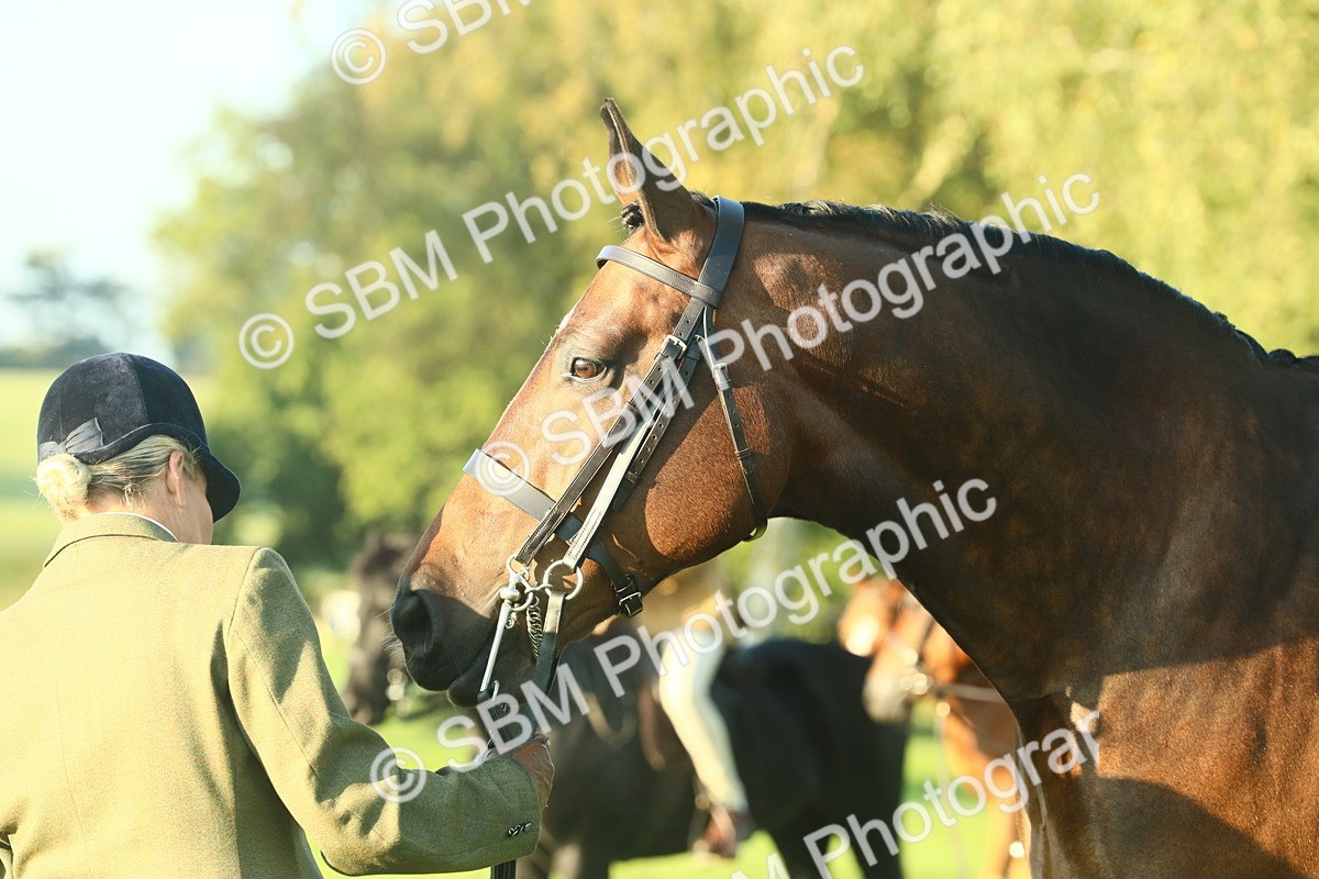 SBM_56687 - S36 - Starters Best Turnout