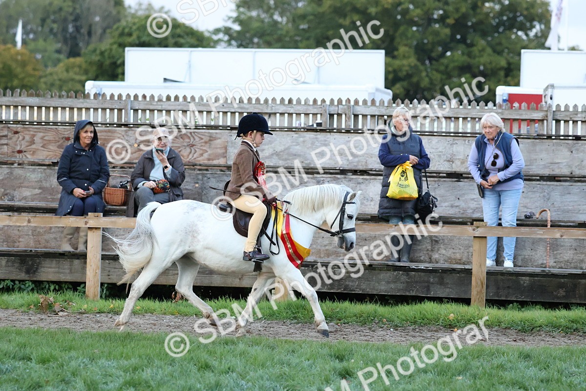 SBM_53442 - Super Supreme Championship (Sat)