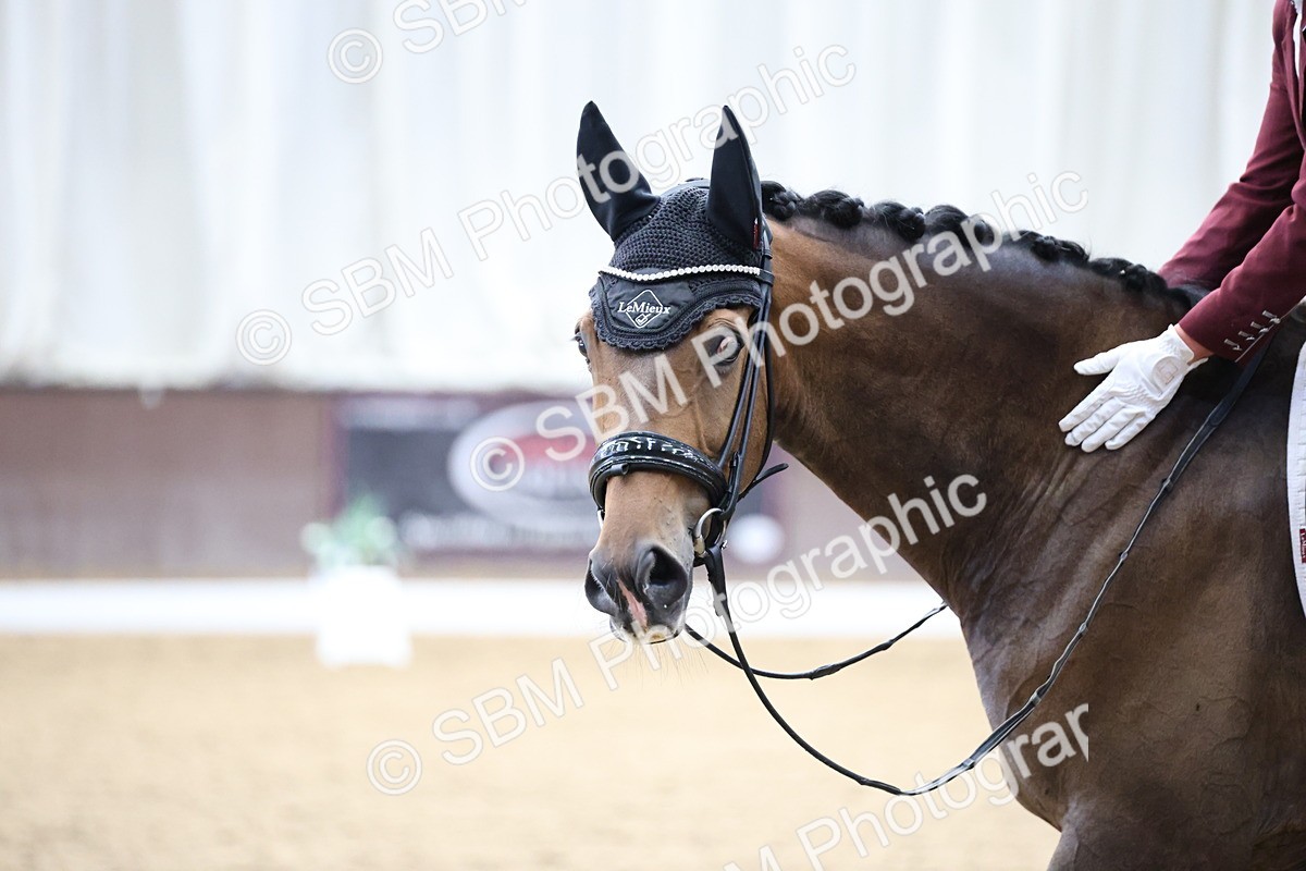 SBM_002178 - Class 5 - Novice 6 Gold - 9.00-10.10