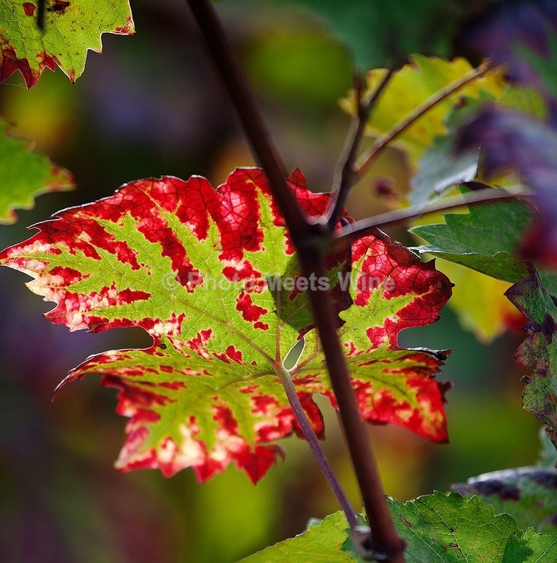  - Details & Abstracts / Details & Abstrakte Bilder