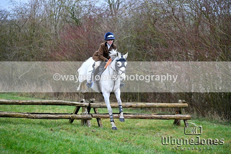WJ5_5206 - Edited examples