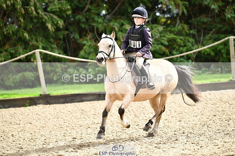 251004A-121939-00989 - Classes 4 & 5 50cm