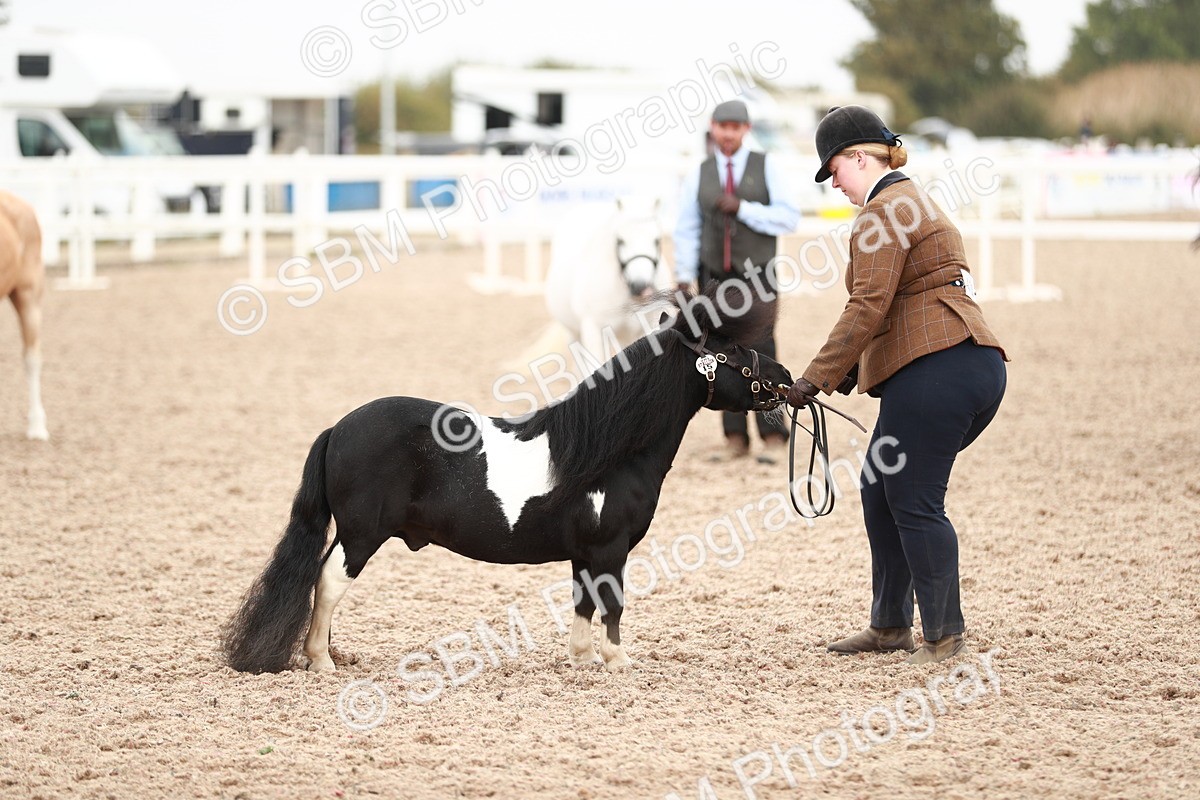 SBM_12544 - Class 207 IH M&M