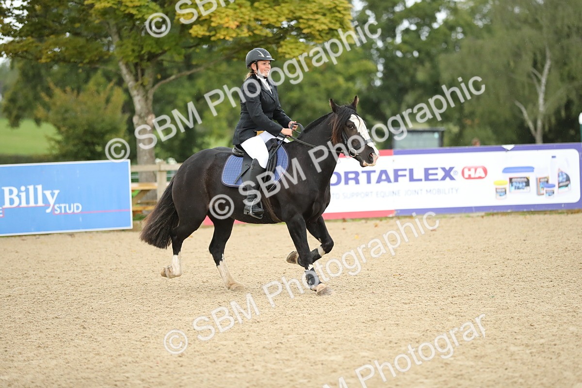SBM_00926 - J27 - Senior Horse & Pony 50cm Championships