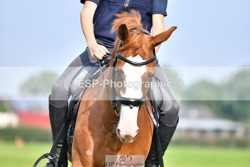 230817-093544-02604 - Abbie's 1st Group - Dressage