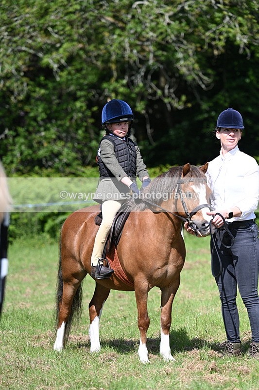 WJ7_0777 - Class 8 First Rally Pony