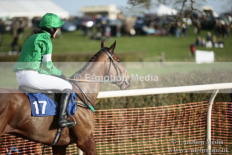 PtP 230319 535 - VWH Hunt Siddington Point-to-Point Racing 23/03/19