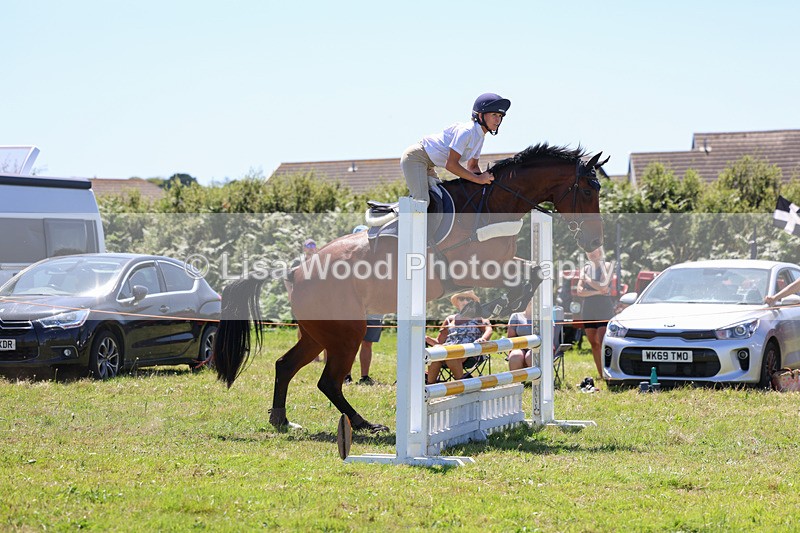3E7A5468 - Class 9: Senior British Novice/90cm open