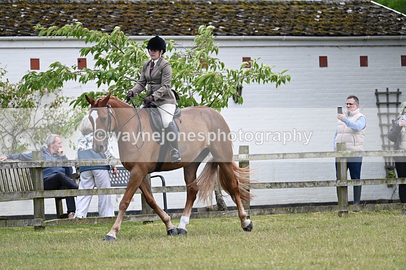 WJ7_9177 - Class 8 Ridden Veterans