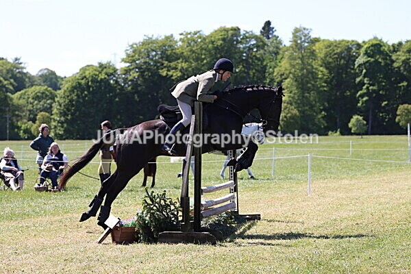 IMG_4121 - Working Hunter