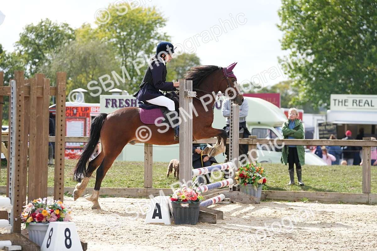 SBM_46976 - J7 - Junior Pony 60cm Championship