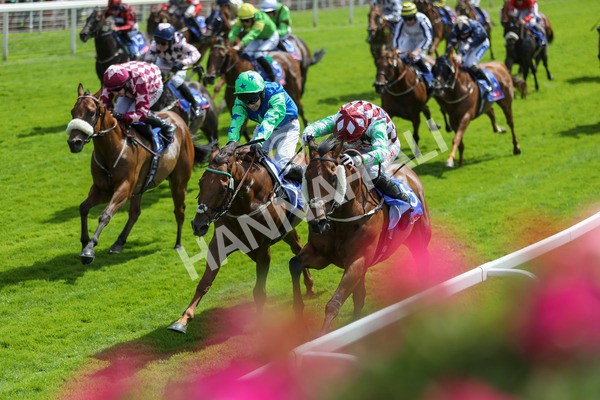 290723-Race 1-Soul Seeker-3801 - Race 1 2.05pm Sky Bet 'Jump Jockeys' Nunthorpe' Handicap