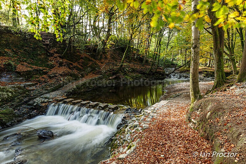 Tollymore Forest 2020 - Approaching the Stepping Stones - Autumn