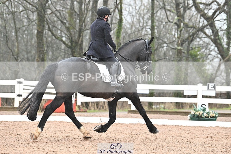 250215-103311-03048 - 244-Suzanne.Clark-Ballinamurra.Billy