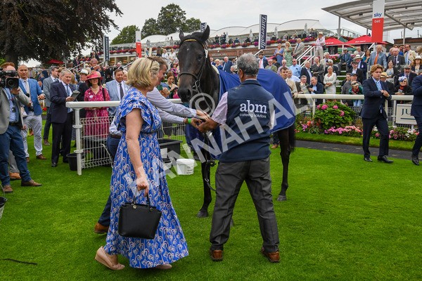 230823-Race 2-Indian Run-0144 - Race 2 2.25pm Tattersalls Acomb Stakes