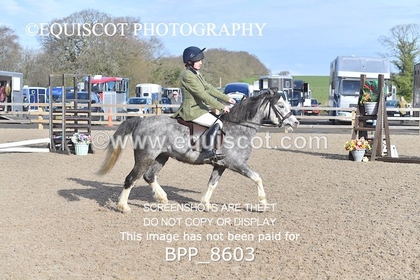 BPP_8603 - TRAINING STAKES