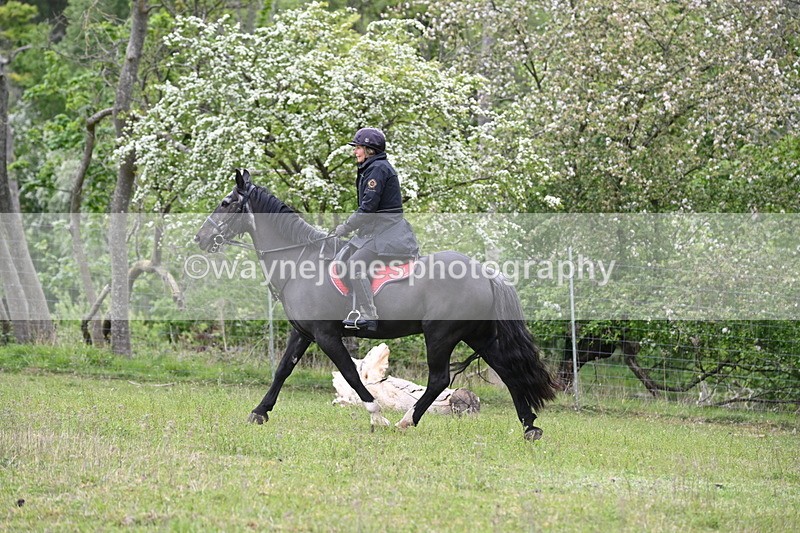 WJ6_1816 - Group 7 A&B Cameras