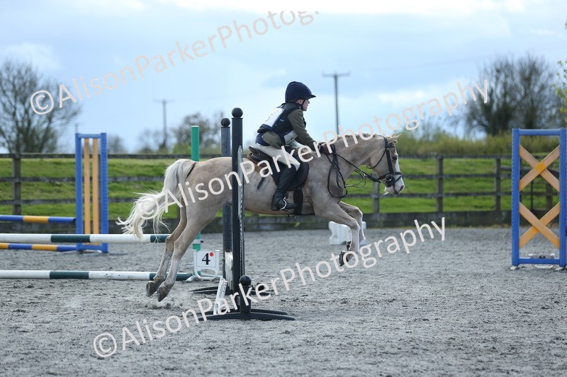 20260412-1784 - Show Jumping
