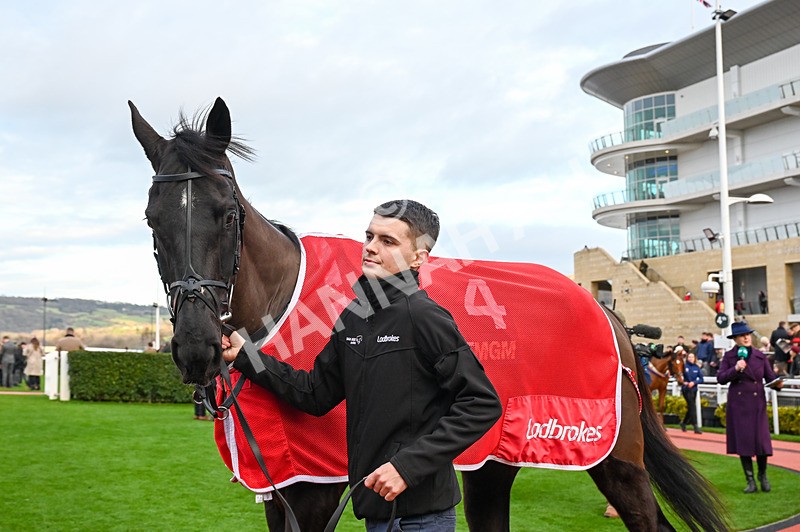 141224-Race 5-Etalon-0761 - Race 5