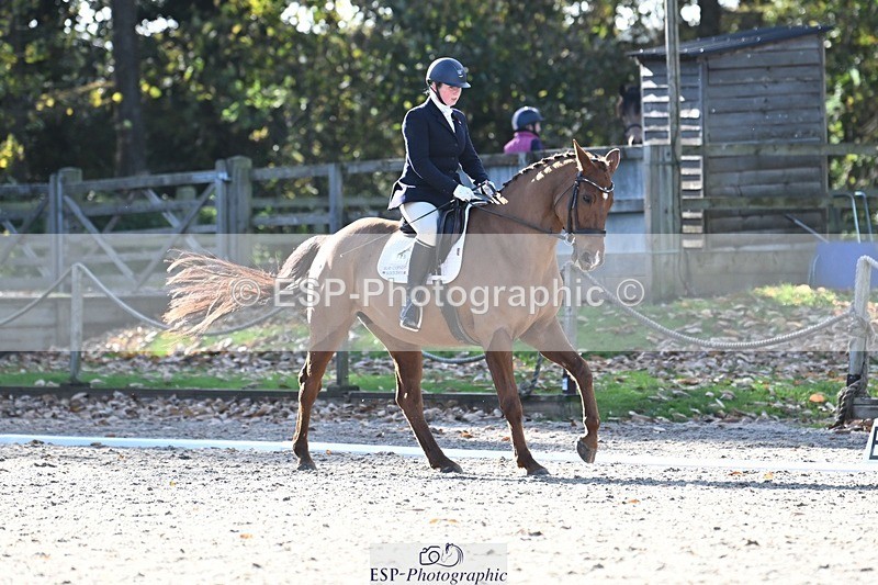 231110-122209-00671 - Cls 3 Novice 22