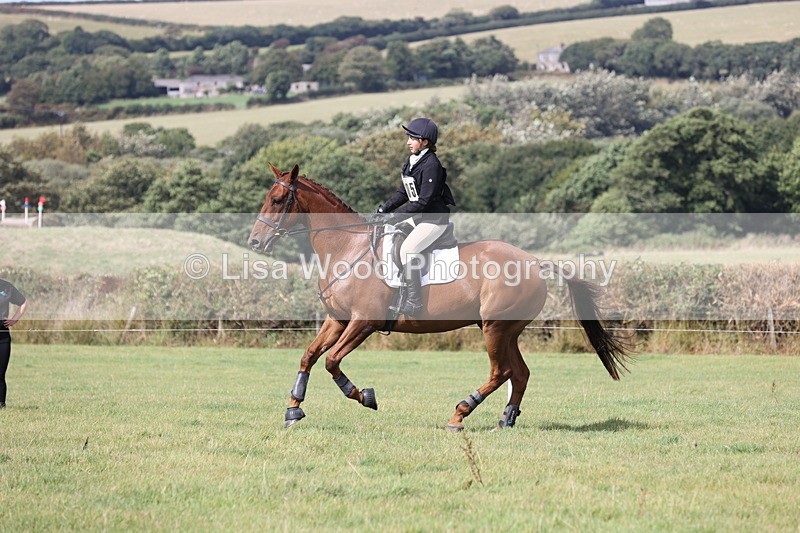 JPP_8659 - Class 2: Trekenning: 80cm Showjumping