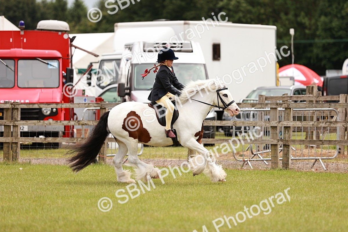 SBM_06234 - Class 39-41 TGCA In Hand and Ridden