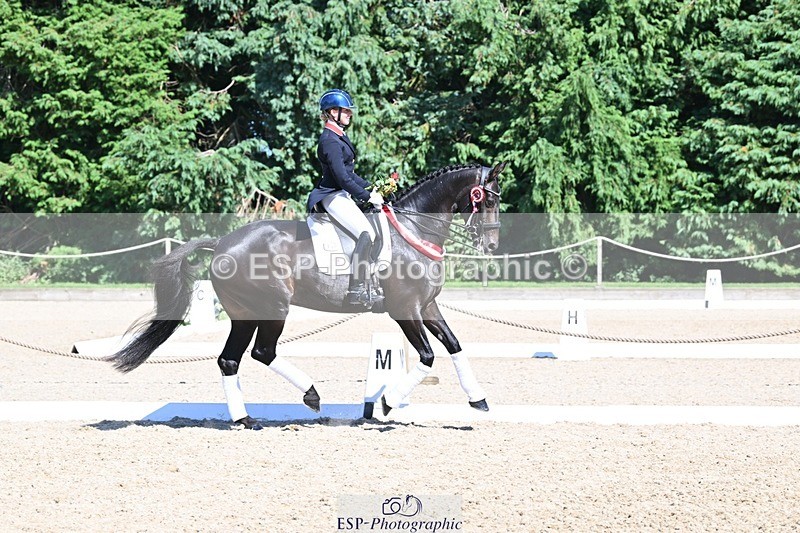 240811-154101-06770 - Inter I Gold