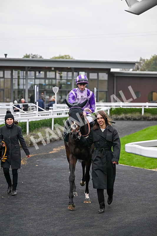 181025-Race 3-Secret Sonata-0559 - Race 3