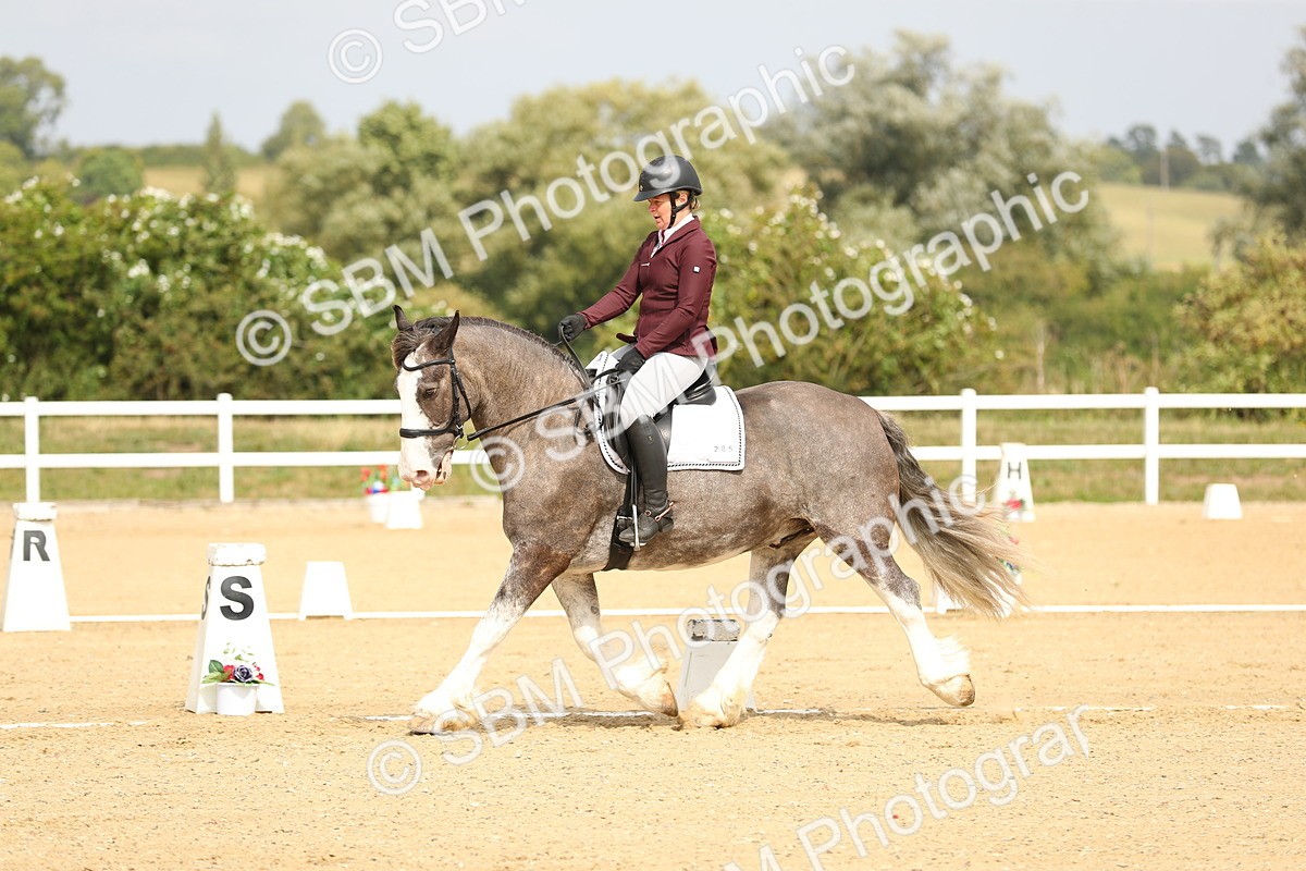 SBM_017304 - Class 13 - Novice 23 - 13.31-14.13