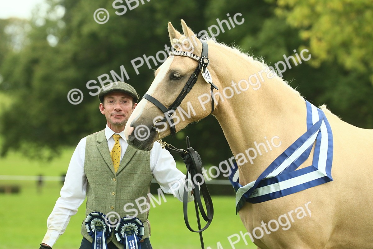 SBM_75203 - Super Supreme Championship